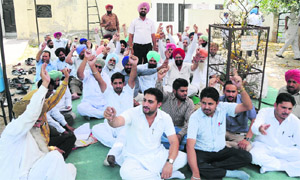 Members of the Revenue Patwar Union stage a dharna in support of their demands in Bathinda on Wednesday. 