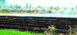 Implementing the ban on stubble burning has become a challenge to the authorities in Amritsar. 