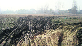Heaps of garbage dumped near the Pampore sports stadium.