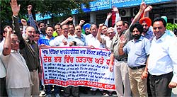 Members of the Retail and Wholesale Chemists Association holding a protest in Bathinda on Friday