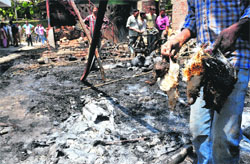 Pigeons burnt during the fire at Gary Arts, Phase VII, Industrial Area in Mohali on Friday.