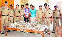 Two persons arrested by the police with two leopard skins and body parts in Haridwar on Friday