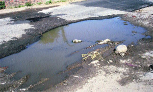 Leaking pipes and a damaged road near the Neugal park at Palampur. 