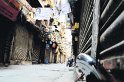 Closed chemist shops on Pindi Street in Ludhiana on Friday.