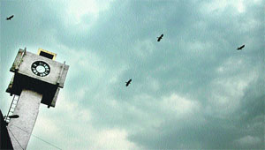 Lensman Sarabjit Singh captures birds taking flight from the clock tower against the backdrop of a densely grey and overcast sky in Jalandhar on Sunday