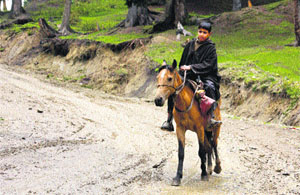 A shepherd rides a horse in Doodhpathri valley, 50 km west of Srinagar. Despite lush green meadows, natural water springs and gushing streams, Doodhpathri remains largely unknown to tourists visiting Kashmir mainly due to poor roads. 
