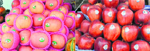 Apples from China, Iran, New Zealand and the USA are giving tough competition to apples from Kullu and Kashmir Valley.