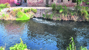Waste water being discharged into Budha Nullah near Chander Nagar in Ludhiana. 
