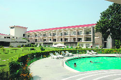 The lush green lawn of Hotel Mountview  