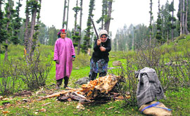 Women chop wood in Doodhpathri Valley, west of Srinagar, on Monday. 
