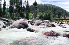 A view of a water stream near Mawar village.