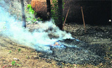Garbage bins overflowing with waste material is a common sight in many parts of Ludhiana. 