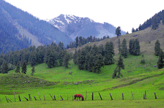 The Pahalgam tourist resort in south Kashmirs Anantnag district. 