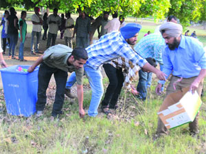 Students take part in a cleanliness drive at Punjab Agricultural University in Ludhiana on Wednesday.