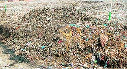 The garbage dumpyard at Bhagtawala in Amritsar
