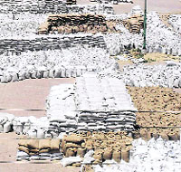 Wheat bags lying at the Amritsar grain market on Thursday. 