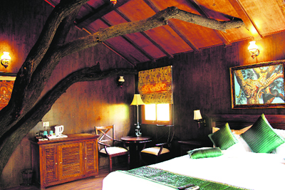 A tree house interior.