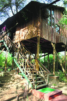A treehouse atop a keekar tree