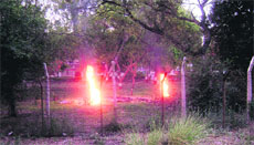 Refuse of trees set on fire on the outskirts of Amritsar on Sunday. 