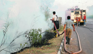 Firemen try to douse the flames as fire broke out in an open ground near the traffic lights of the railway station in Chandigarh on Sunday. 