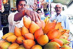 A vendor arranges his stock in Ludhiana