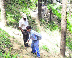 Shimla Municipal Corporation officials inspect the site of tree cutting near Chhota Shimla on Monday.