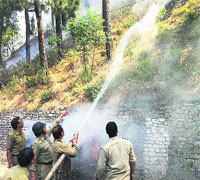 Forest officials combat forest fire at Chondi forest in Chamba on Wednesday.