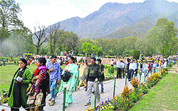 Tourists throng Nishat Mughal Garden in Srinagar on Wednesday