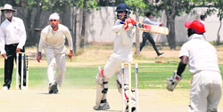 Players in action during a league match of the UT T20 cricket tournament at the LIC ground in Sector 26, Chandigarh, on Thursday. Tribune photo