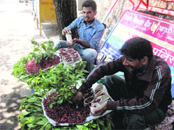 Street vendors sell wild berries, popularly known as Kaafal, at exorbitant prices in Mussoorie. 