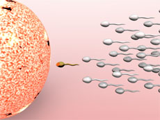 Further prospective studies comparing the technique to existing methods of embryo selection are still needed before the procedure is recommended as standard. 