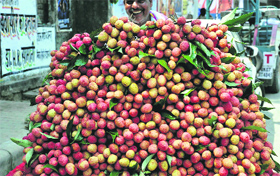 Cool litchis for sale on a rehri in Dehradun on Friday.