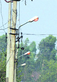 Even as city residents are braving frequent power cuts, streetlights can be seen switched on during the daytime in the Aman Nagar locality near the Jalandhar bypass in Ludhiana on Friday