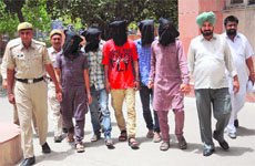 The arrested members of a gang of robbers being presented before mediapersons in Bathinda on Sunday.