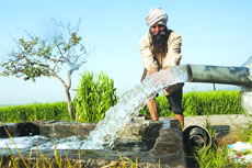 The groundwater table has fallen to an alarming level in Punjab. 
