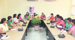 Dr Pankaj Mittal (centre), VC, BPS Women University, Khanpur Kalan, addresses the participants during a workshop on breast cancer at the university. 