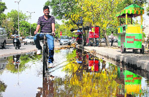 A cyclist wades through accumulated water on a road as rain provided relief to residents from heatwave in Jalandhar on Monday. 