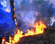 The blaze billowing at Jhanger. 