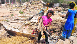 A girl carries away firewood after the demolition drive at Bhai Randhir Singh Nagar in Ludhiana on Monday. Tribune Photo: Himanshu Mahajan 