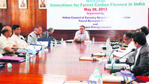 Director-General of the ICFRE VK Bahuguna presides over a workshop on forest carbon finance in Dehradun on Tuesday. 