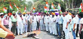 Congressmen burn Malukas effigy in Fatehgarh Sahib on Tuesday