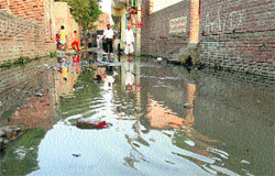 People wade through a waterlogged street in ward No. 2 of Panipat on Wednesday. Tribune photo: Ravi Kumar 