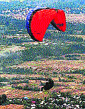 A paraglider in action near Srinagar