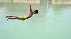 Diving for relief: A boy dives into a canal to beat the scorching heat in Karnal