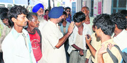 Farmers rush to hire labourers at Rajpura railway station. Tribune file photo
