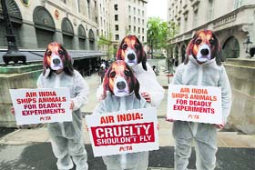 Supporters of People for the Ethical Treatment of Animals protest outside the Indian High Commission in London against Air India lifting its ban on transporting animals to laboratories on Thursday
