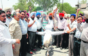 Sarv Sikhya Abhiyan teachers burn the effigy of Punjab Education Minister Sikander Singh Maluka  during a protest in Amritsar on Saturday. 