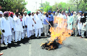 Congress workers burn an effigy of Education Minister Sikandar Singh Maluka in Bathinda on Saturday. 