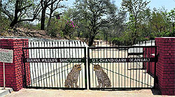 Entrance to the Sukhna Wildlife Sanctuary