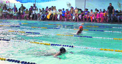 Swimmers at the 28th Sub Junior Punjab State Swimming Championship at Brajindra Collegel, Faridkot. A tribune photograph
